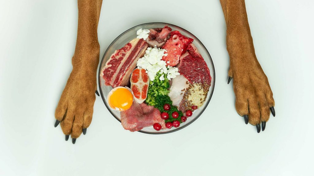 Hundeernährung