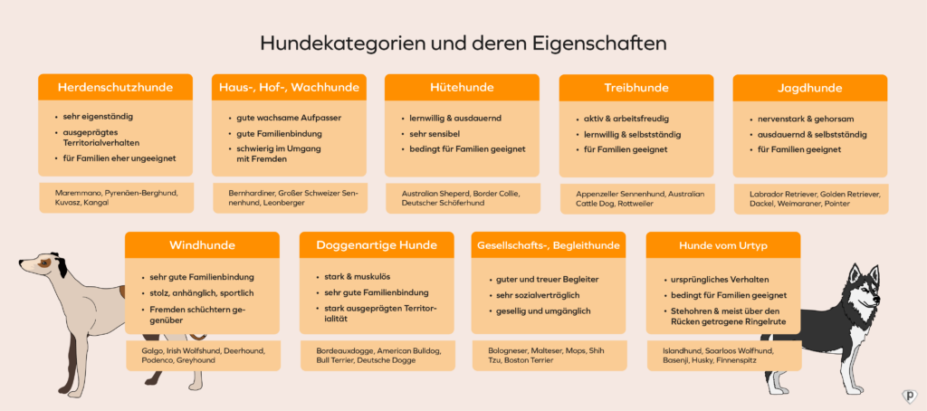 Hunderassen Eigenschaften