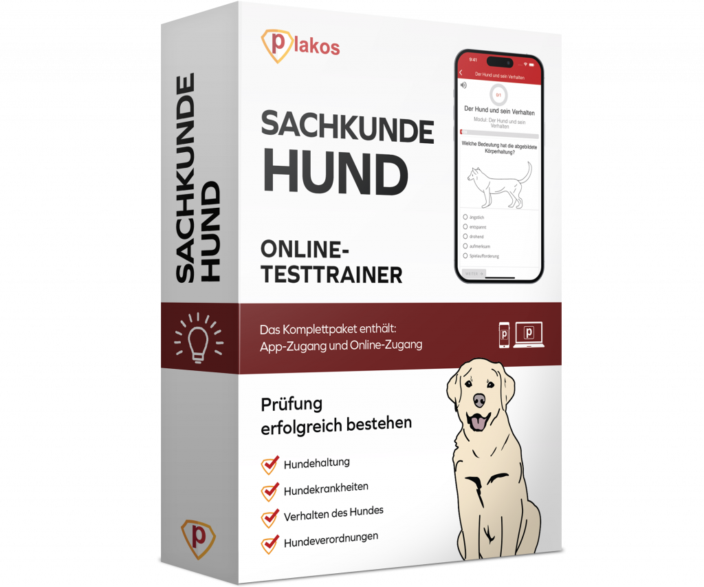 Sachkunde Hund