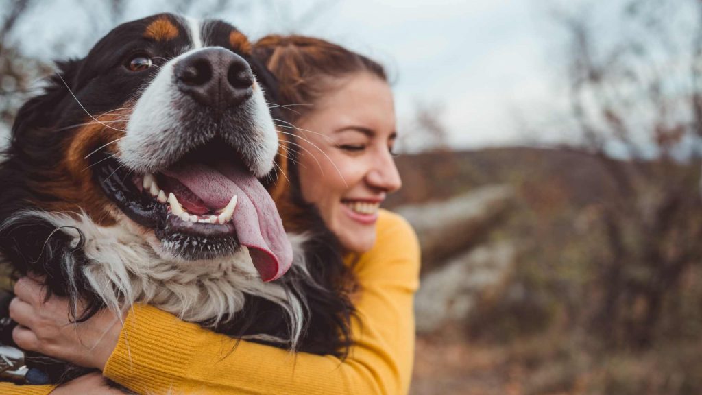 Grundlagen der Hundehaltung