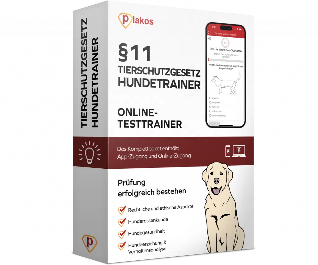 Tierschutzgesetz Hundetrainer
