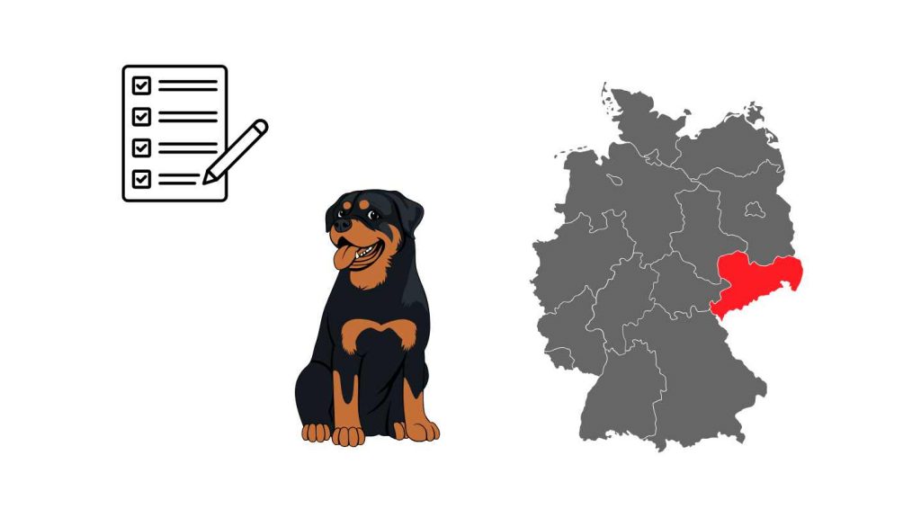 Hundeführerschein Sachsen